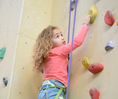 Climbing party