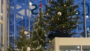 Sporten in de kerstvakantie