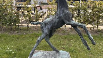 9. Kunstwerk met paard